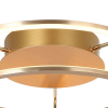 PLAFON DE SOBREPOR LUMINA DOURADO (D)47CM (A)17CM 1X35W 3000K 1750LM - BB016SG - 2