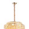 LUSTRE ODEON DOURADO E CONHAQUE (D)78CM (A)48CM 16XE14 640W - AQ026L - 1