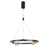 PENDENTE OCCHIO DOURADO E PRETO E BRANCO (D)65CM (L)4CM (A)10CM 16X3W 3000K - JJ014 - 1